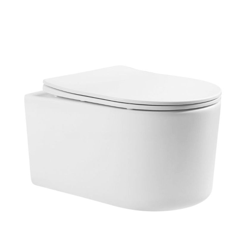 WH-09 PREMIUM WALL HUNG COMMODE MODEL
