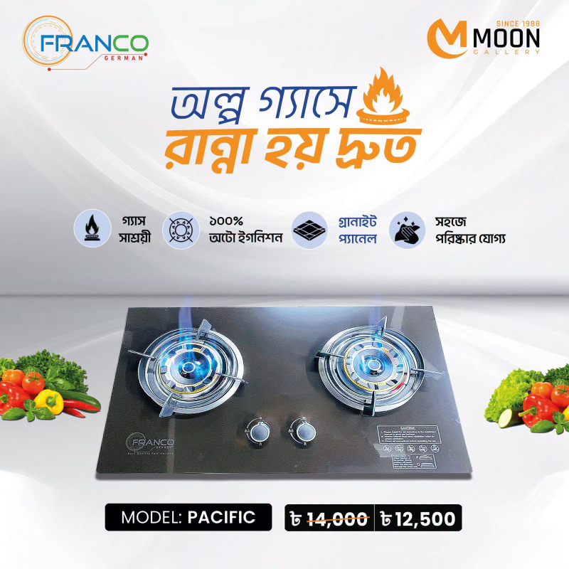PACIFIC GAS STOVE