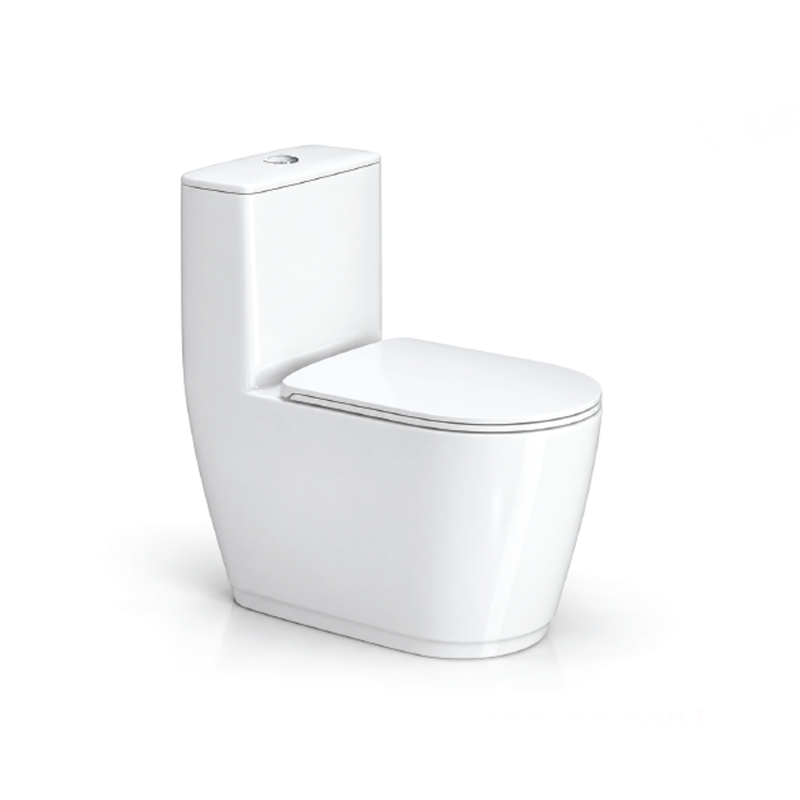 Roca High Commode
